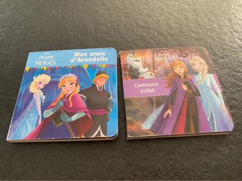 Lot 2 livres reine des neiges