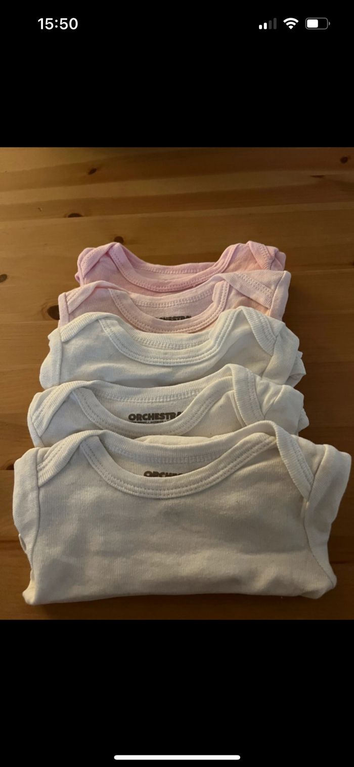 Lot bodies - photo numéro 2