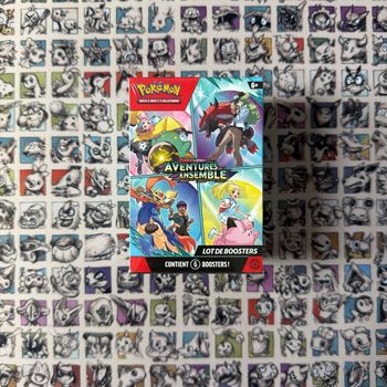 Bundle Pokémon EV9 Aventures Ensemble 