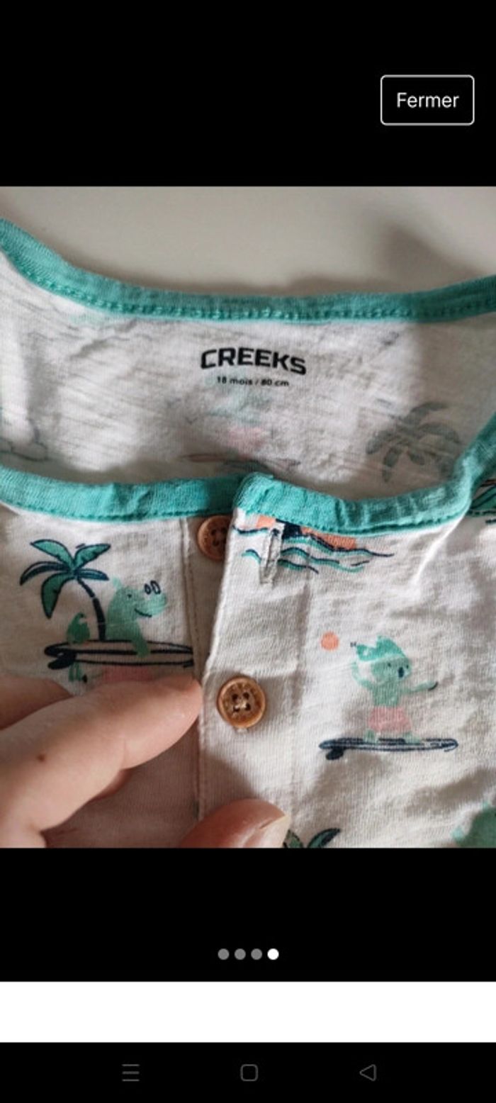 Ensemble creeks - photo numéro 4