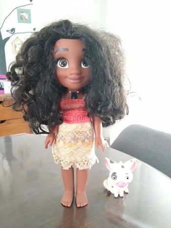Poupée Vaiana et ses amis