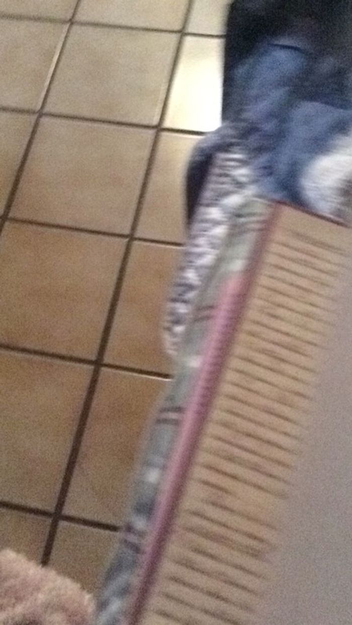 # le jardin des secrets par Kate Morton - photo numéro 5