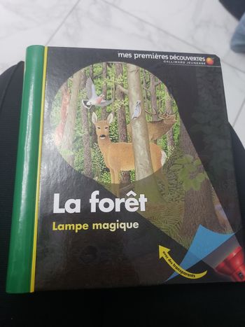 La forêt- Lampe magique sur feuilles transparentes - neuf