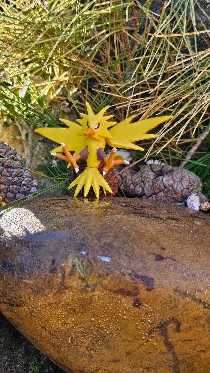 Super figurine Pokemon Nintendo Elector