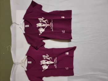 Lot de 2 t-shirts Sol's Lady