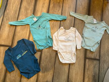 Lot 4 bodys petit bateau 3M