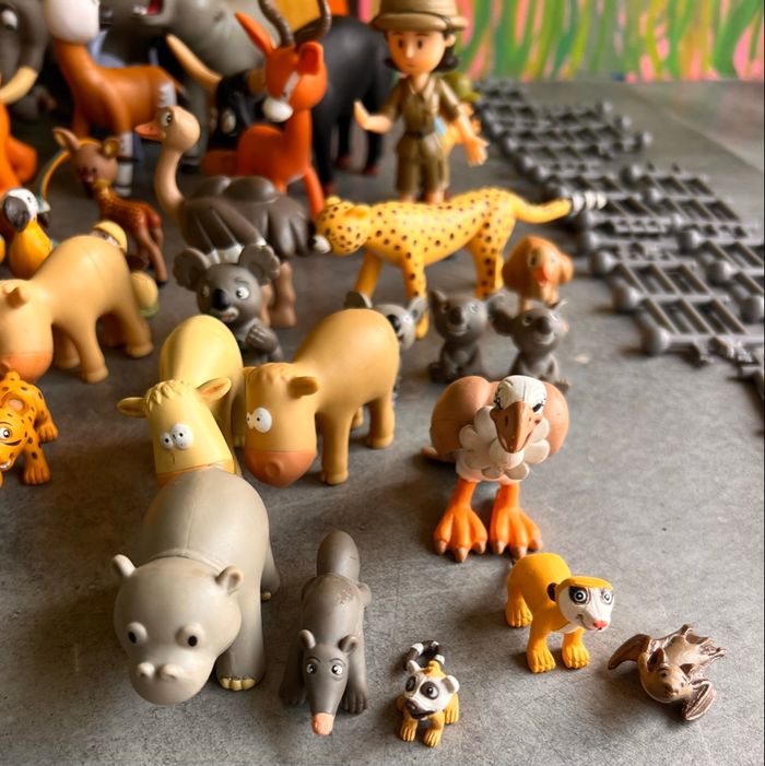 Animaux Atlas - photo numéro 9