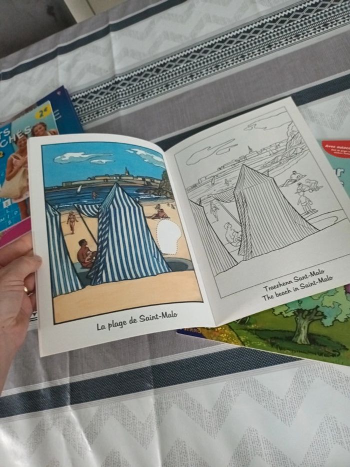 Lot livre de vacances - photo numéro 3