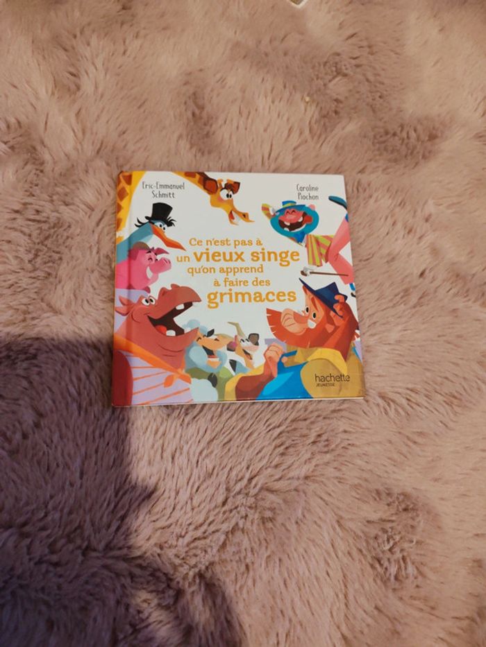 Livre enfant il était un dicton