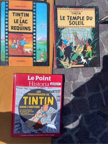 Livres tintin
