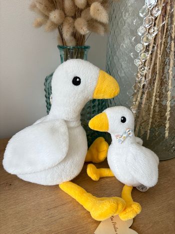 Maman et bébé oie 
