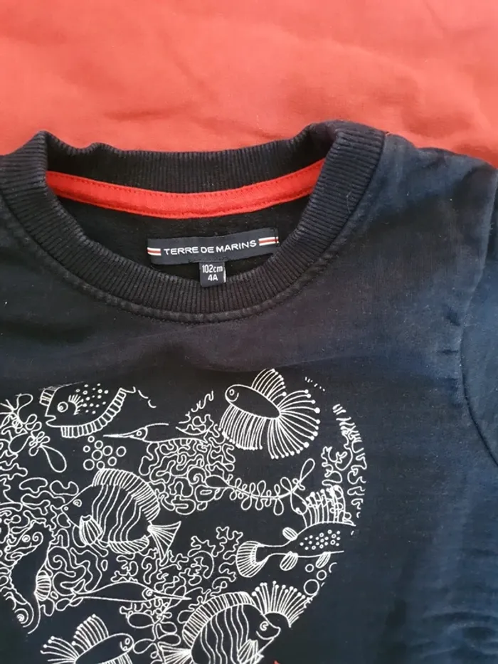 Sweat terre de marins - photo numéro 3