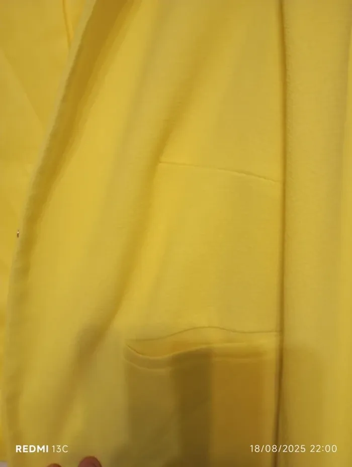 Blazer - photo numéro 2