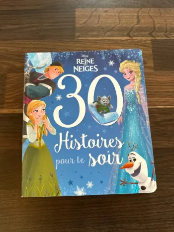 Livre reines des neiges