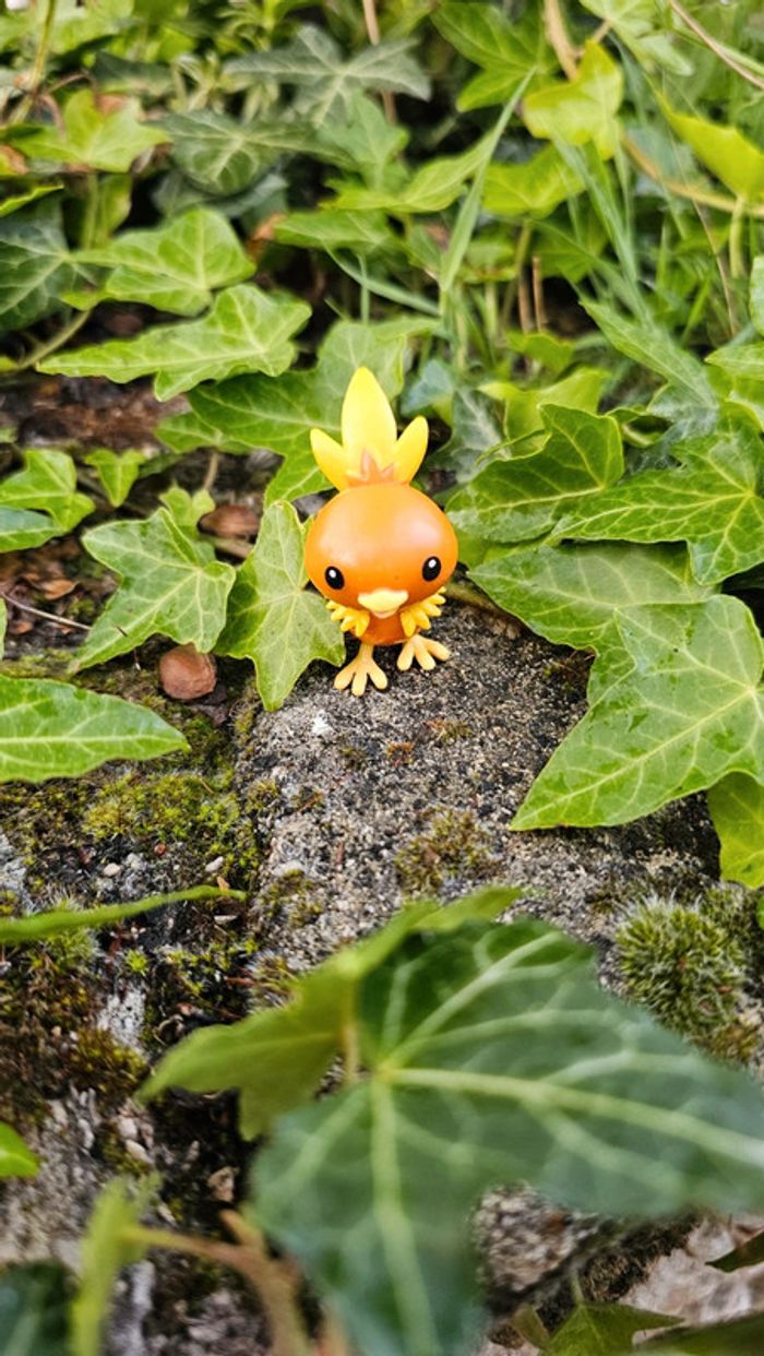 Super figurine Pokemon Nintendo Poussifeu