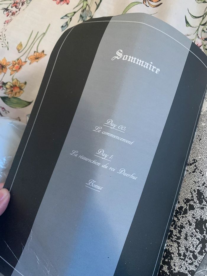 City of Fireya - photo numéro 4