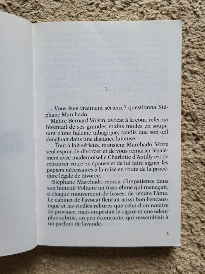Roman jeunesse "Un indien dans la ville" d'Éric Le Nabour - photo numéro 6