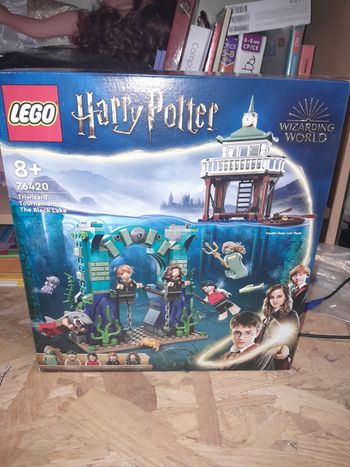 Lego harry potter tournoi des 3 sorciers 76420