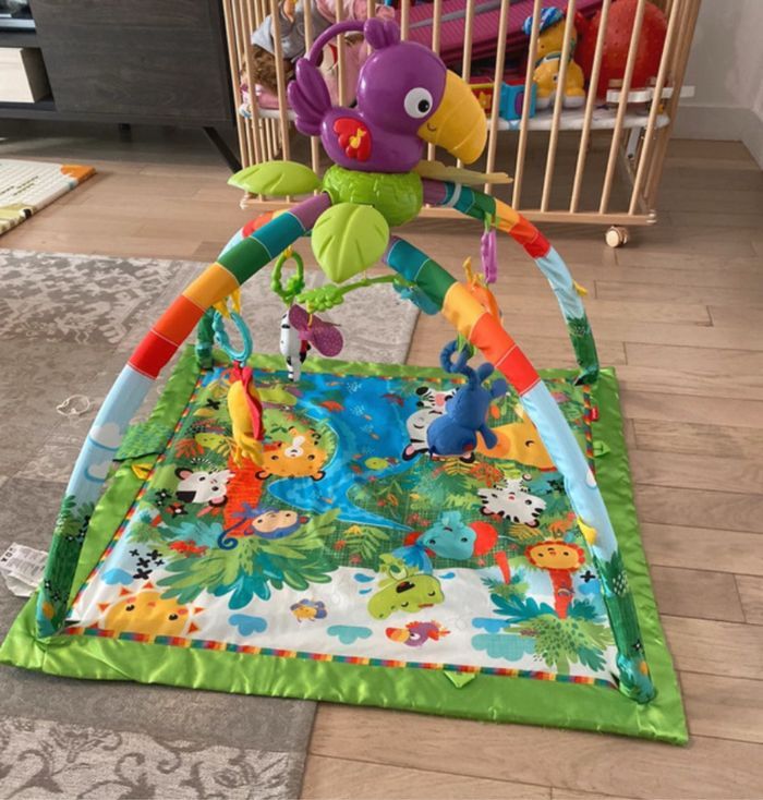 Tapis d’éveil Fisher Price - photo numéro 2