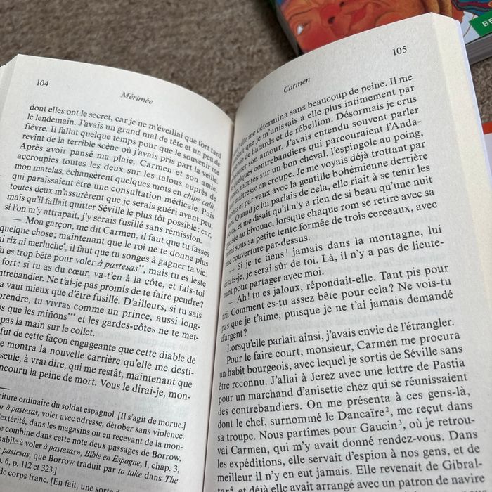 Lots de 7 livres pour le bac de français - photo numéro 9