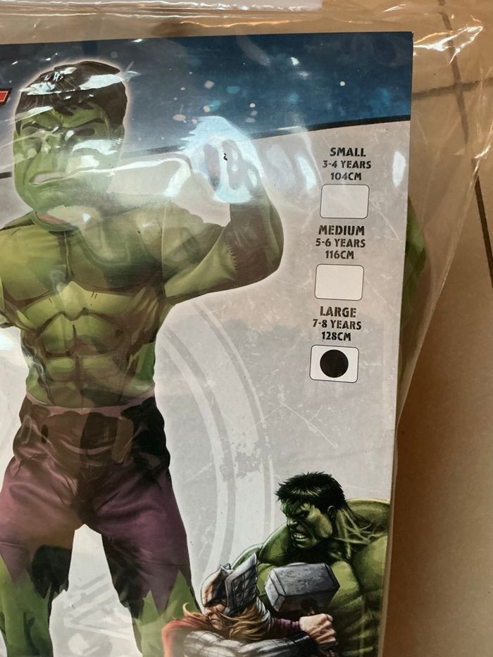 Déguisement HULK - photo numéro 2