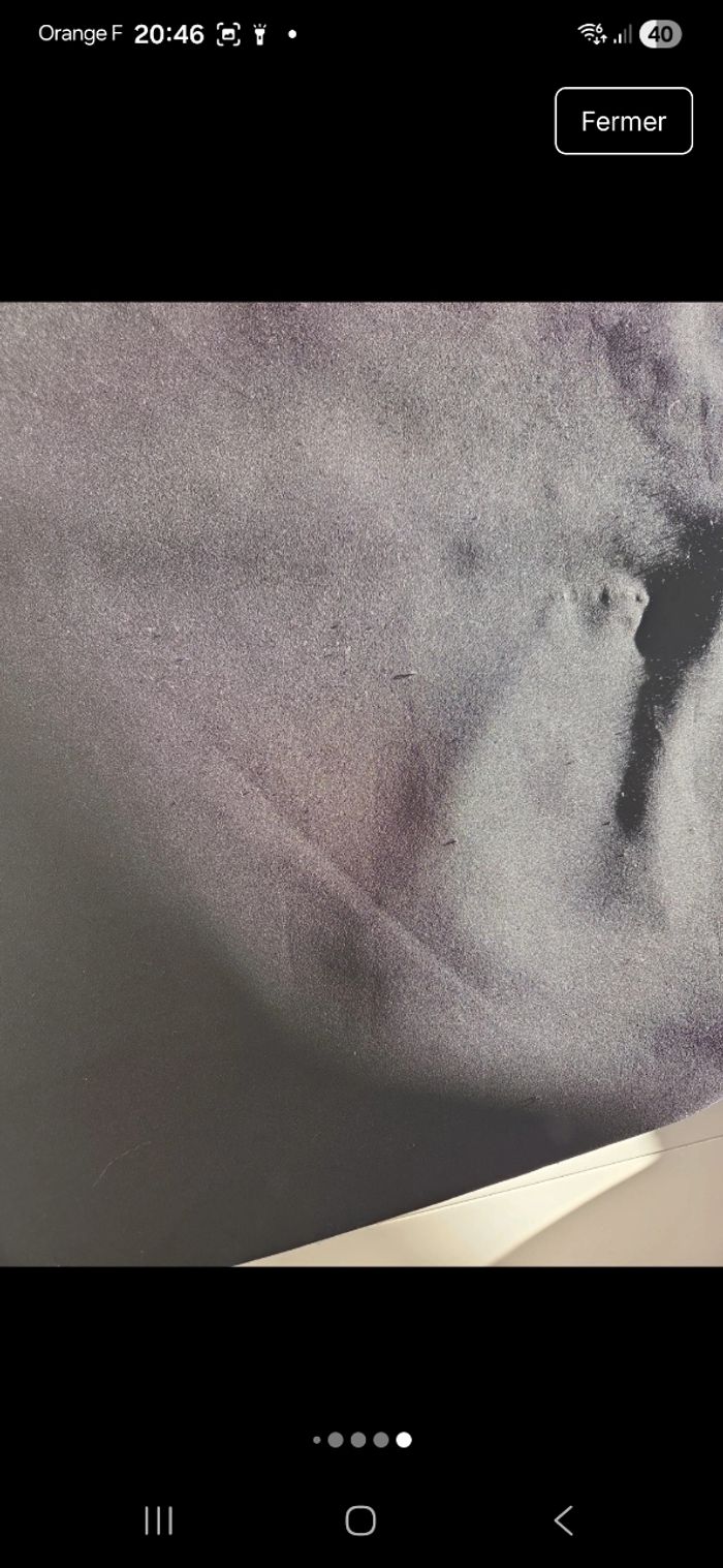 Morgan - photo numéro 8