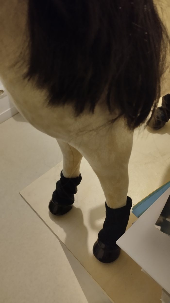 Cheval enfant - photo numéro 5