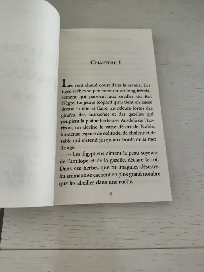 Livre le lévrier du Pharaon - lire c'est partir - photo numéro 3