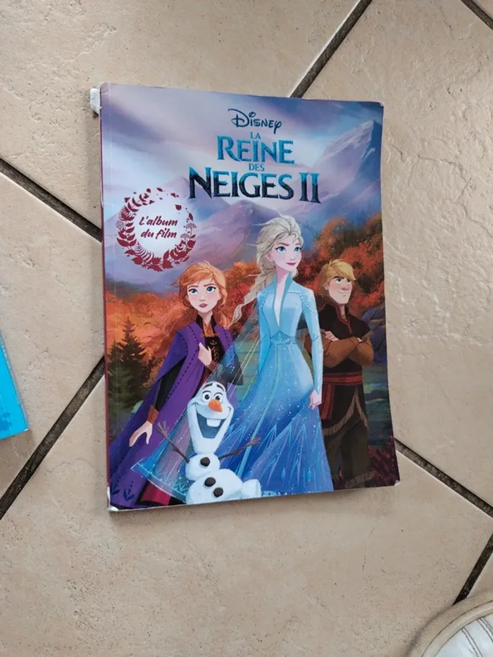 Livres reine des neiges - photo numéro 4