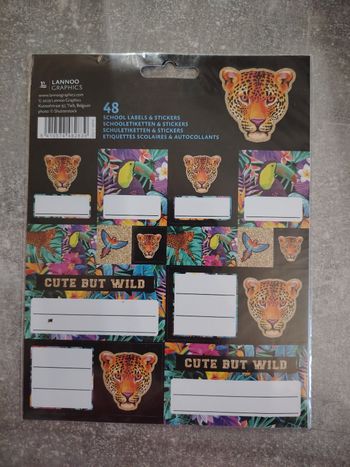 Lot 48 étiquettes scolaires et autocollants lannoo graphics