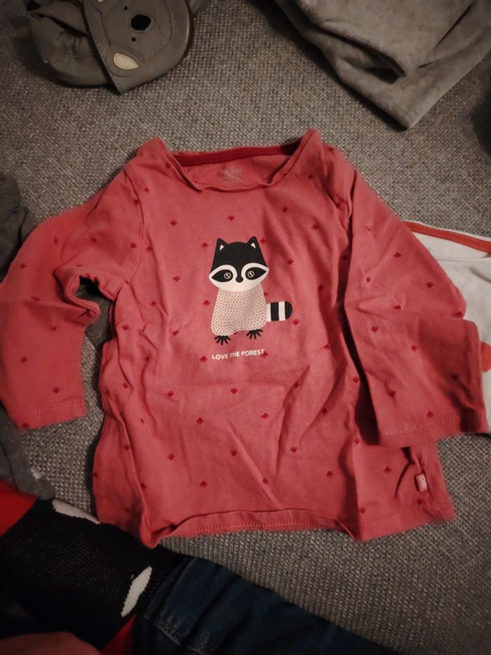 Lot t-shirts obaibi 12 /18 mois - photo numéro 4