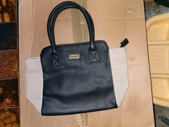 Sac bicolore ted lapidus