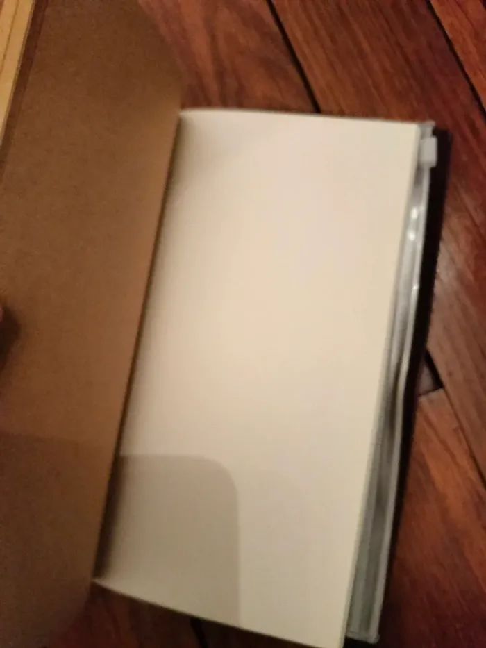 Cahier en cuir - photo numéro 8