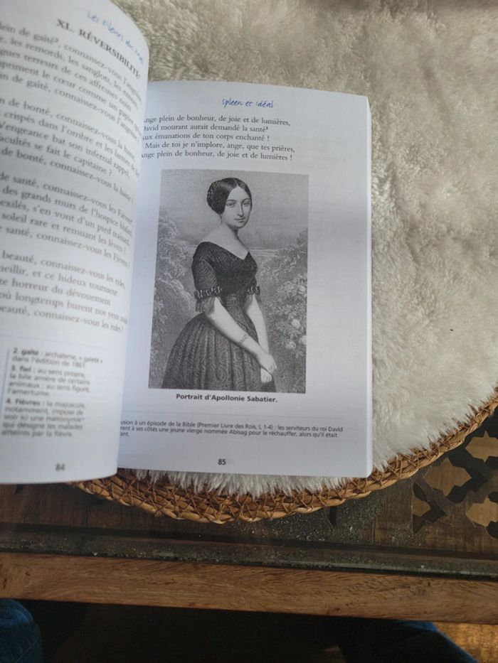 Les fleurs 🌸 du mal. Baudelaire - photo numéro 5