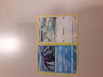 Prédastérie + Couaneton lot de 2 cartes POkémon neuves
