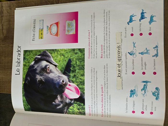 livre "mon grand animalier" - photo numéro 3