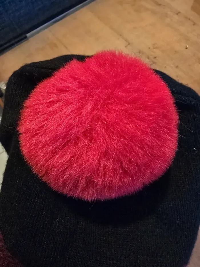 Bonnet karl - photo numéro 2