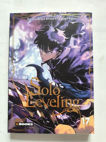 Solo leveling 17
