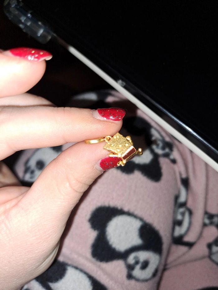 Accessoire - photo numéro 5