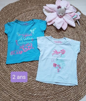 Lot tee-shirt 2 ans