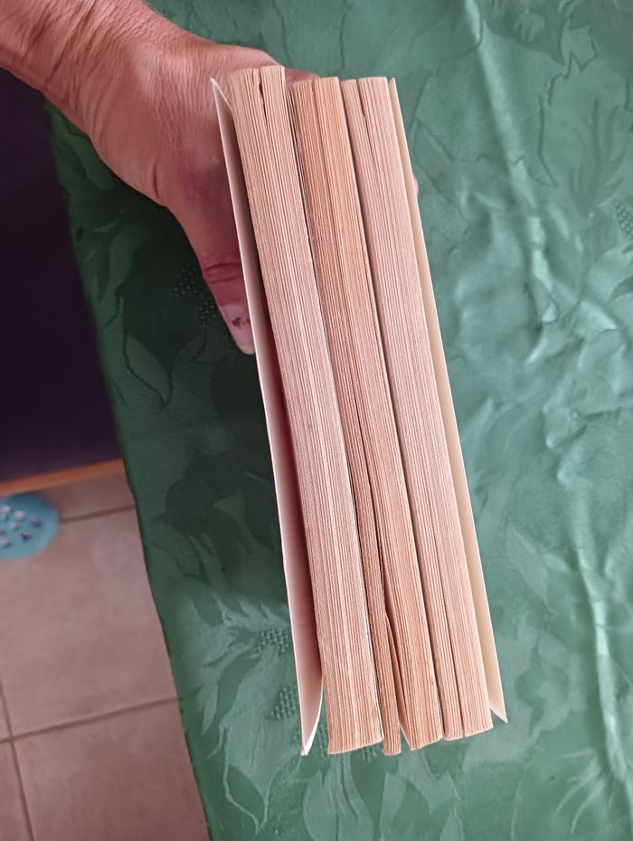 Lot de 3 livres Bayard poche - photo numéro 6
