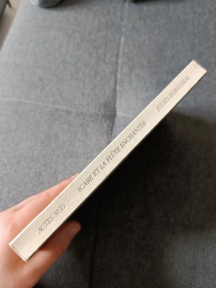 Icare et la flûte enchantée - Julien Burgonde - photo numéro 3