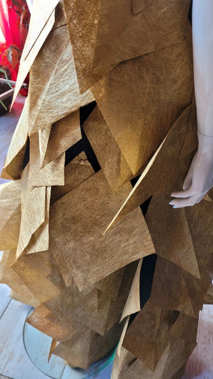 Robe les enfoirés carla bruni - photo numéro 11