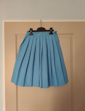 Jupe plissée bleue
