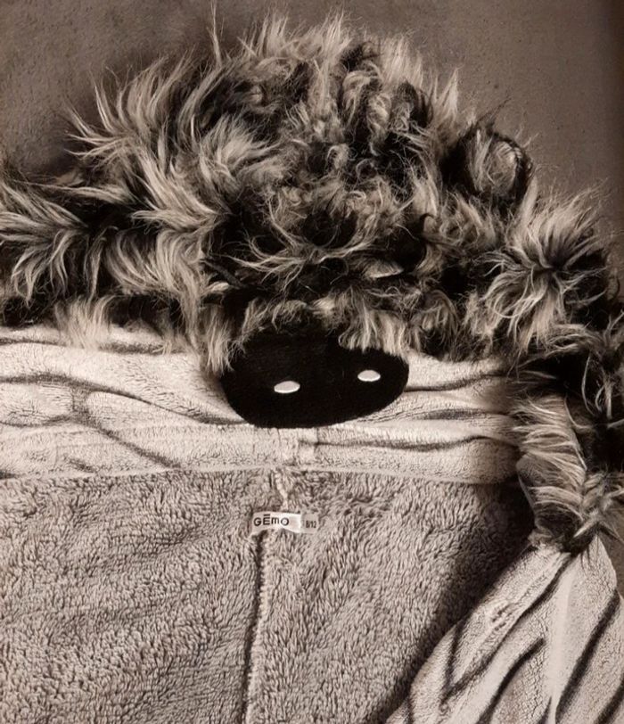Plaid/ cape 8/12 ans - photo numéro 3