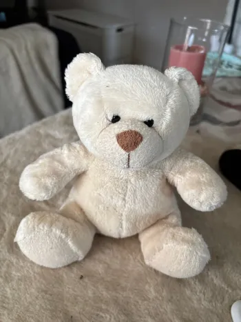 petit ours blanc 