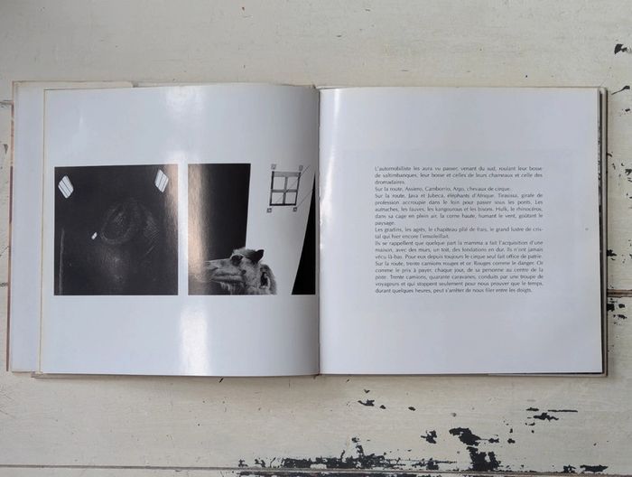 Quel Cirque ? - photo numéro 4