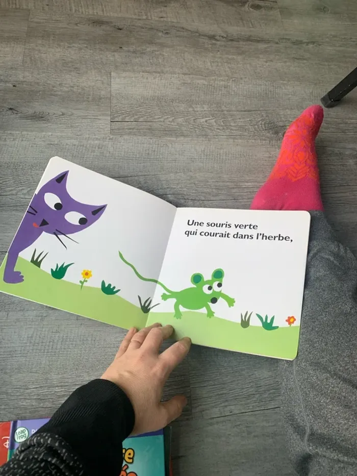 Une souris verte - photo numéro 3