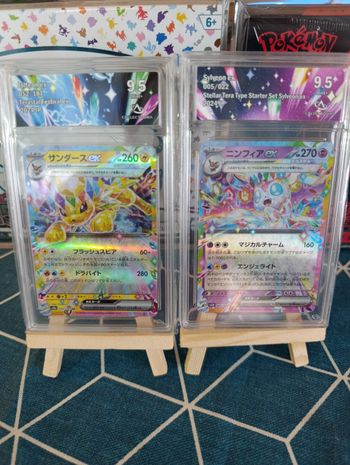 Lot de cartes gradées evolitions