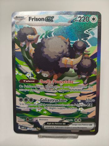 Frison Ex